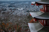 探秘日本高清哔哩哔哩视频的魅力